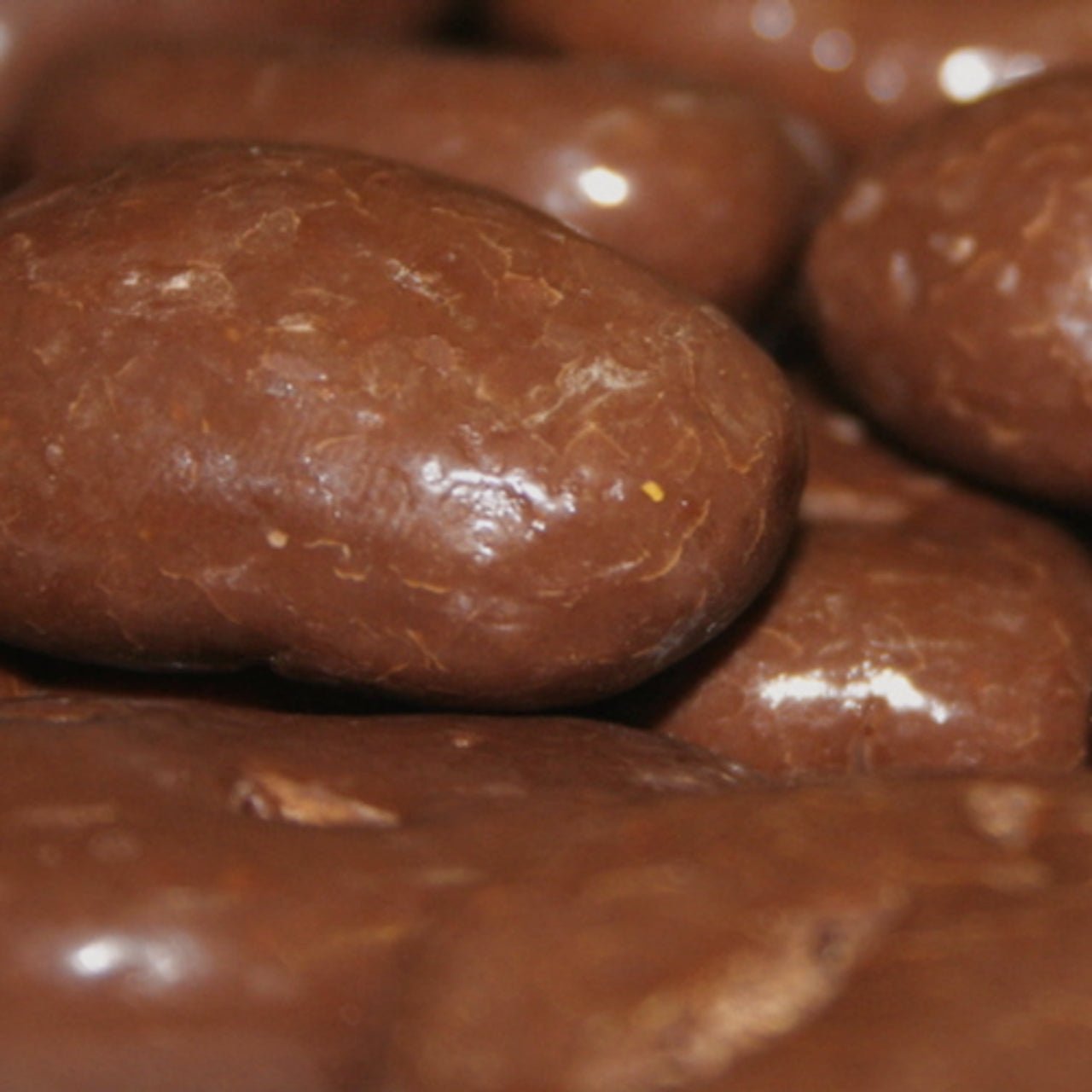 Chocolate Covered Pecans 8 oz - The Native Texan