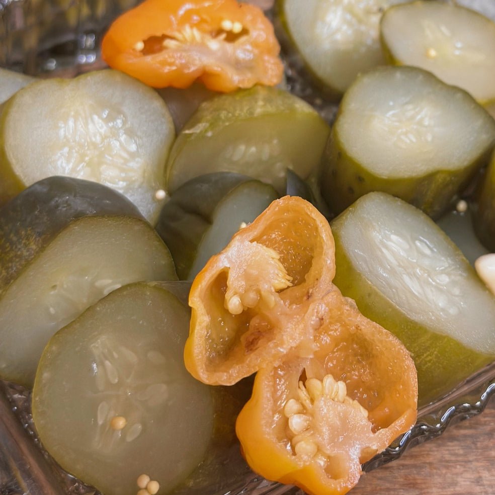 Habanero Pickle Chunks – Spicy Pickles with Real Habaneros, 32oz Jar - The Native Texan