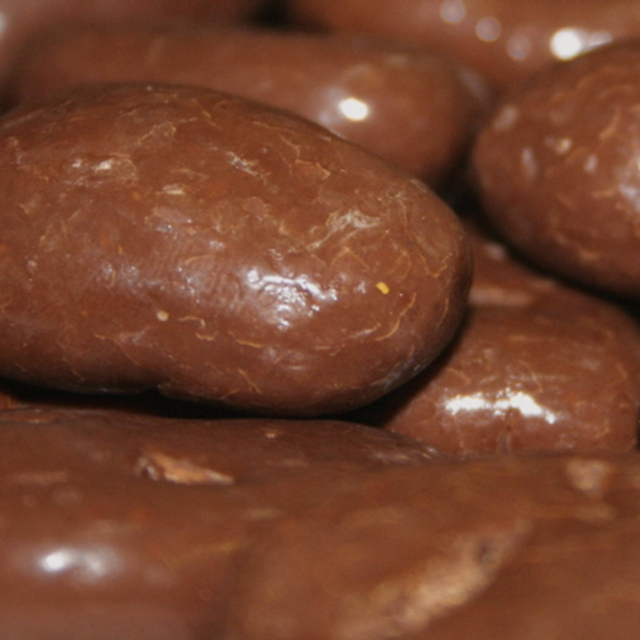 Chocolate Covered Pecans 8 oz