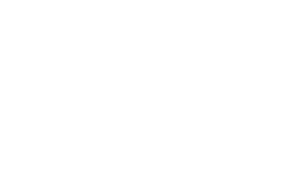 The Native Texan
